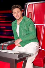 Niall Horan Says He Wishes He Didn’t Take a Year Off ‘The Voice’