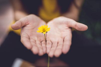 Healthy Habits, Happy Life: Simple Ways To Boost Your Well-Being