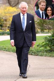 Harry and Meghan Included in King Charles' Coronation Program: Details