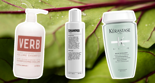 16 Best Shampoos for Fine Hair in 2023
