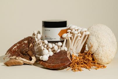 15 Best Nootropics for Focus, Brain Fog and Energy in 2023