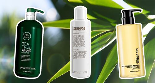 17 Best Shampoos for Thick Hair in 2023