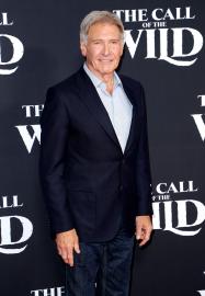Harrison Ford: I'd Be a 'Better Parent' If My Career Was Less Successful
