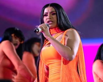 Yes, Cardi B Threw Her Mic at a Concertgoer for Tossing a Drink on Her