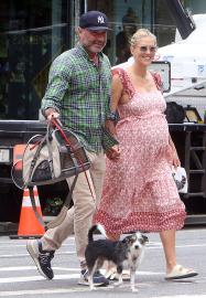 Liev Schreiber and Pregnant Taylor Neisen Hold Hands During NYC Stroll