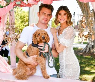 Pump Rules' Raquel Claims James Encouraged Dog Graham's Biting Tendencies