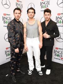 Jonas Family Knows 'Divorce Was Not an Easy Decision' for Joe (Source)