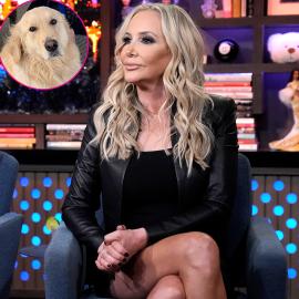 Animal Control Is Now Involved in 'RHOC' Star Shannon Beador's DUI Drama Seo: