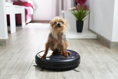 Shop the Best Black Friday Vacuum Deals Now