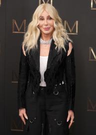 Cher Would 'Never' Join Rock and Roll Hall of Fame After Years of Snubs