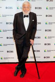 'Lazy' Dick Van Dyke Says He Would Never 'Look for Work' During His Career