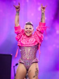 Pink Claps Back at Troll Calling Her 'Old': 'What a Blessing'