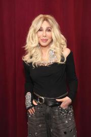 Cher Attends Pre-Grammys Party With Her Boyfriend After Court Appearance