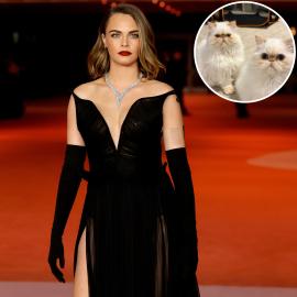 Cara Delevingne Breaks Silence After $7 Million L.A. Home Burned Down