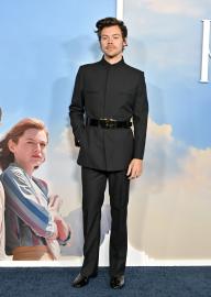 Harry Styles Focused on Music After ‘DWD’ Experience Made Him ‘Gun-Shy'