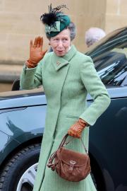 Princess Anne Is 'Recovering Well' Amid Hospitalization From Horse Incident