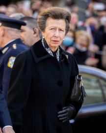 Princess Anne Hospitalized Following an 'Incident' at Her Home
