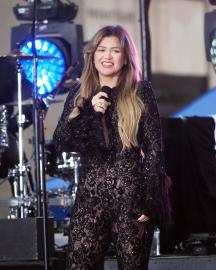 Kelly Clarkson on Her Love Life Post-Divorce, Kids