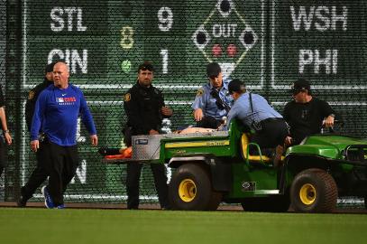 Man Charged With Giving Alcohol to Fan Who Fell Onto Field at Pirates Game