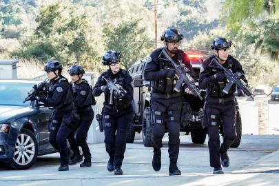 Which 'S.W.A.T.' Stars Are — And Aren't — Returning for Surprise Spinoff?