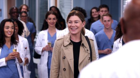 Greys Anatomy Updates in 2025: Show Exits, Cast Couples and More