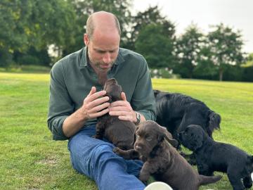 Prince William Cuddles Family's Puppies in 43rd Birthday Pic Shared by Kate