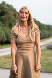 Gwyneth Paltrow's Cultural Impact: 5 Examples in 2025