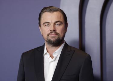 What Happened to Leonardo DiCaprio in Ibiza? Why Police Patted Him Down