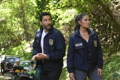 'NCIS Hawai’i' Alum Joins 'Watson' 1 Year After Shocking Cancellation