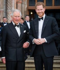 Prince Harry Visits Charity Honoring Princess Diana After Charles Reunion