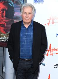 Why Does Martin Sheen Regret Using a Stage Name? His Candid Reason Revealed