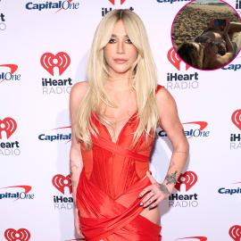 Kesha Soaks Up the Sun in Leopard-Print Bikini After Releasing New Music
