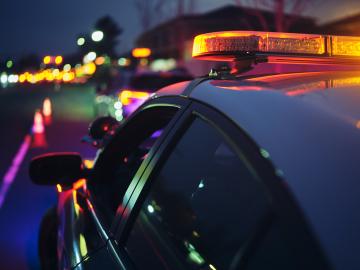 Missouri Woman Sentenced to 4 Years in Prison for Attempt to Steal Graceland